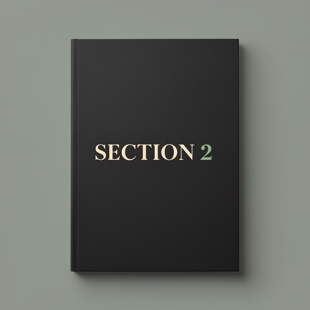 Section 2 Frameworks